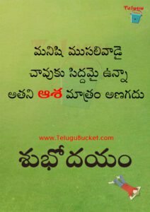 Telugu Quotes Telugu Bucket