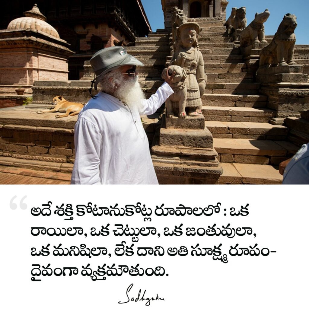 Sadhguru Telugu Quotes