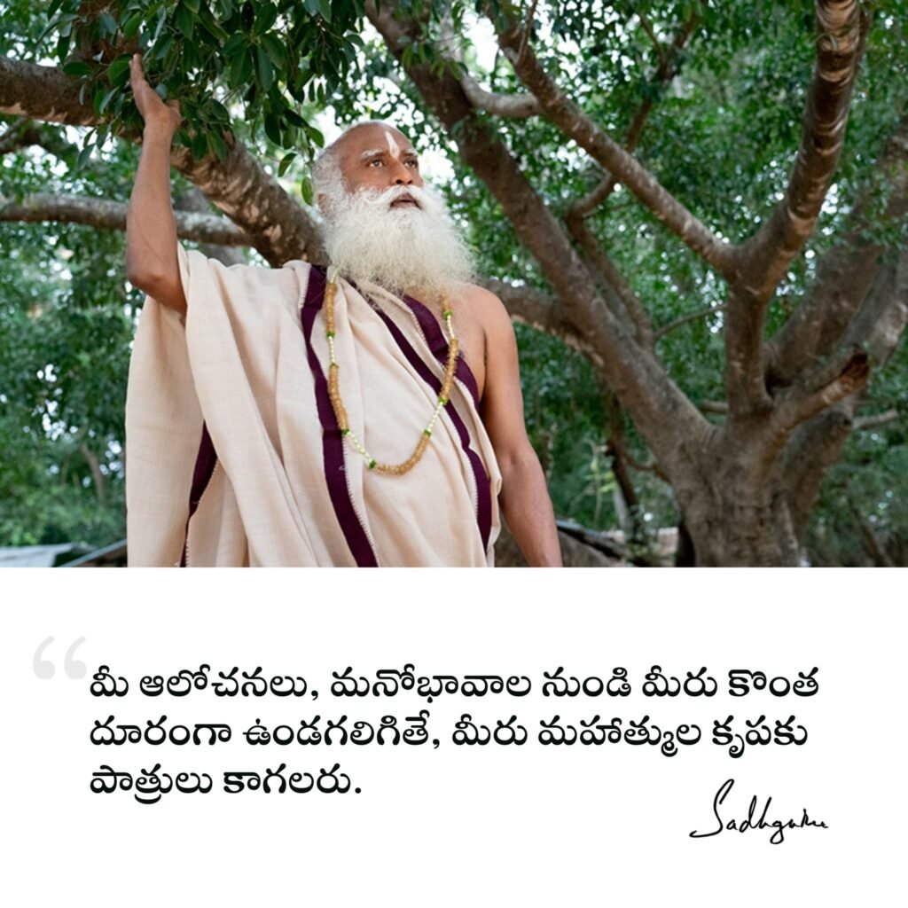 Sadhguru Telugu Quotes