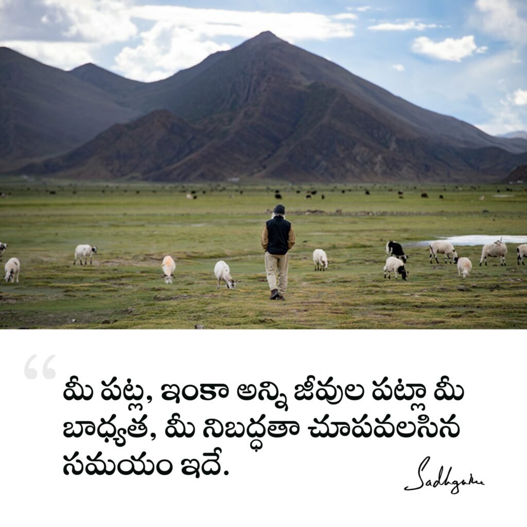 Sadhguru Telugu Quotes