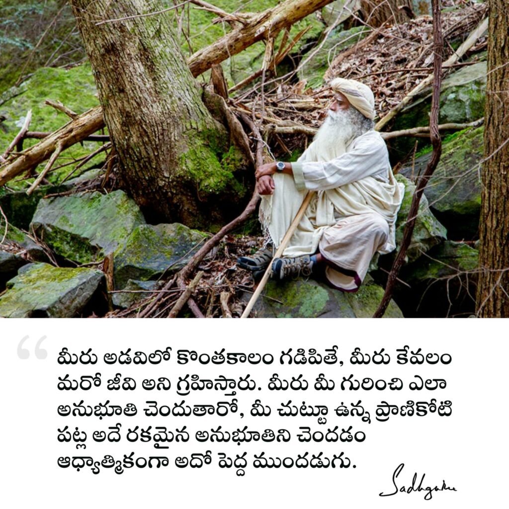 Sadhguru Telugu Quotes