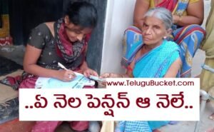 Pension Telugu Bucket