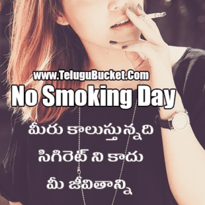 No Smoking Day Quotes in Telugu 7
