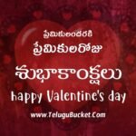 Valentines Day Telugu Quotes