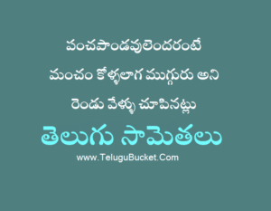 Telugu Samethalu - తెలుగు సామెతలు వాటి అర్ధాలు