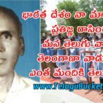 who wrote pledge Pydimarri Venkata Subba Rao