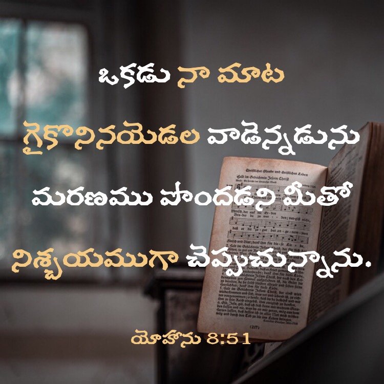 Bible Verse of the Day in Telugu