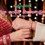 రక్షాబంధన్ ఎందుకు జరుపుకుంటారు? Why We Celebrate Raksha Bandhan in Telugu?