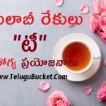 గులాబీ రేకులు టీ ఆరోగ్య ప్రయోజనాలు - Health Tips in Telugu - Tea