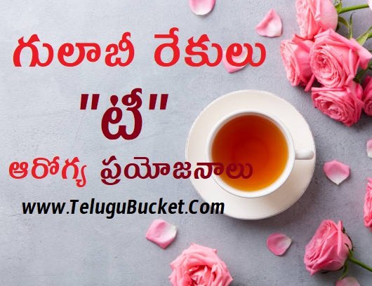 గులాబీ రేకులు టీ ఆరోగ్య ప్రయోజనాలు - Health Tips in Telugu - Tea
