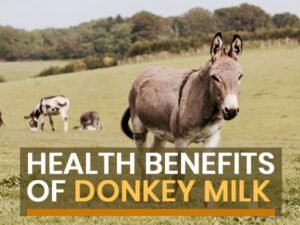 Benefits of Donkey Milk in Telugu