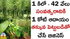 Vennila Farming business ideas in telugu bucket