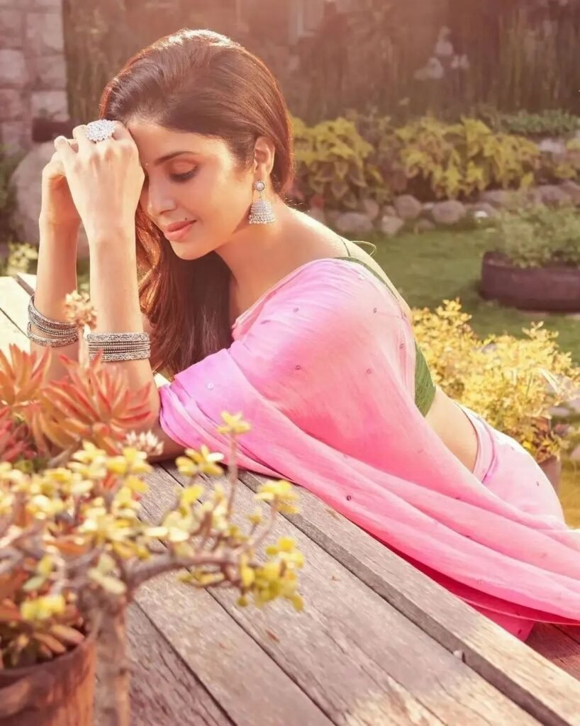 Hot Indian Actress in Saree HD Images – 143
