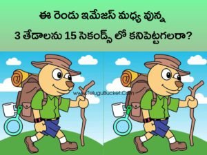 Puzzle Telugu Bucket