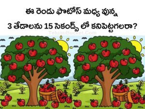 Telugu Picture Puzzles Telugu Bucket