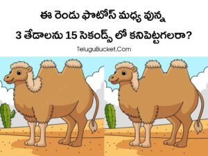 Telugu Picture Puzzles