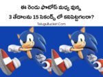 Telugu Puzzles for Kids