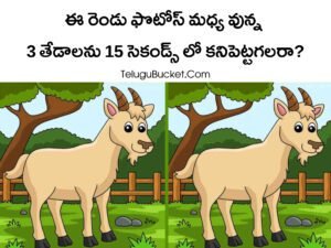 Puzzle Telugu Bucket