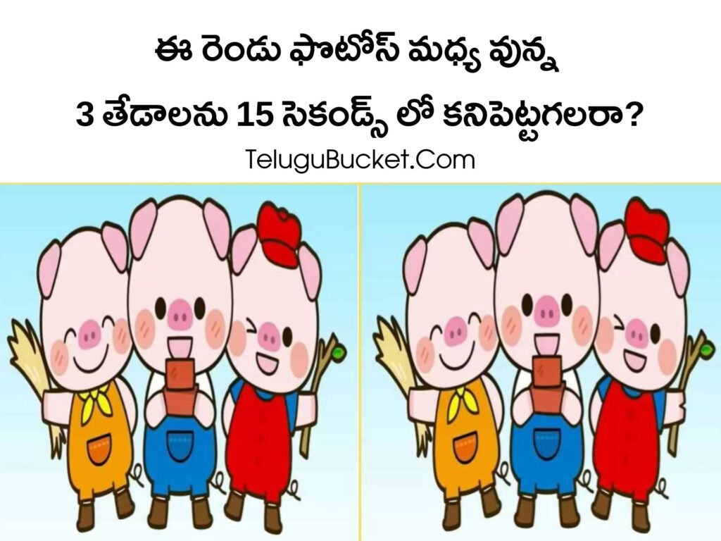 Telugu Picture Puzzles