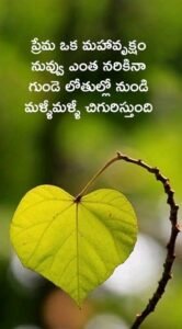 777 Telugu Quotes, Good Night Quotes, Good Morning Quotes, కోట్స్