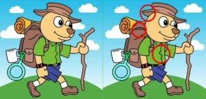 Puzzle Telugu Bucket