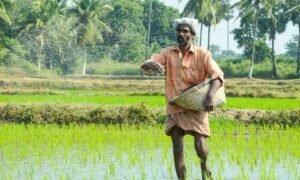 10 Farmers Day Quotes in Telugu - Telugu Bucket Quotes