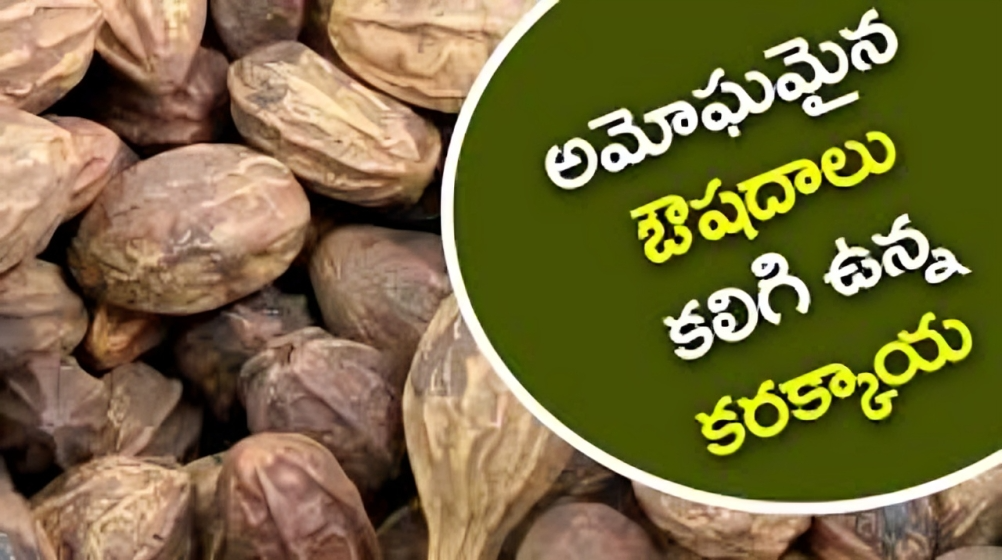 Health Benefits of Myrobalan - Karakkaya - కరక్కాయ