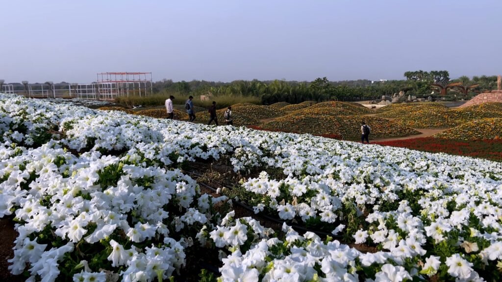 Experium Eco Park Tour Hyderabad in Telugu