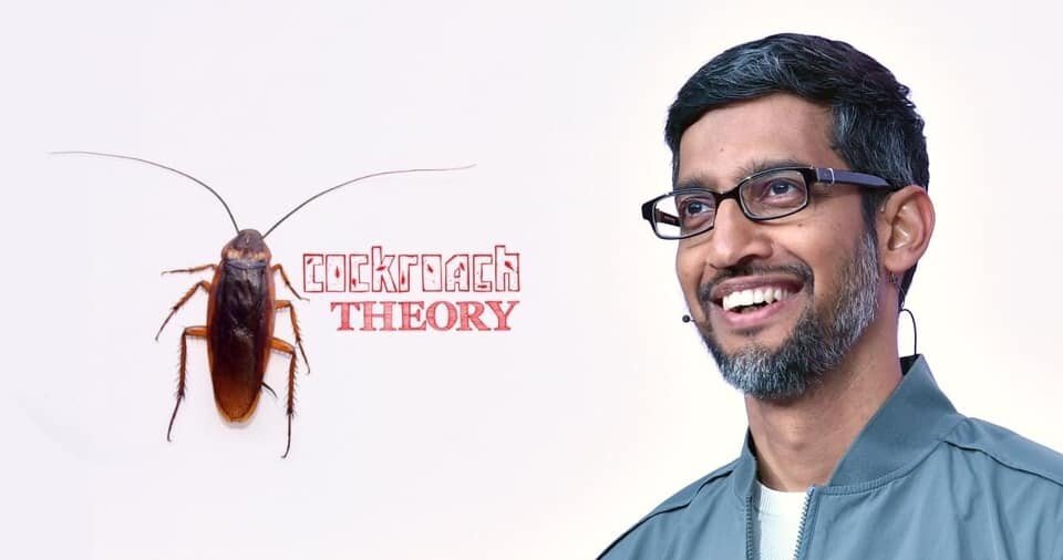 telugu quotes, telugu poetry, telugu stories, telugu jokes Cockroach Theory by Sunder Pichai in Telugu