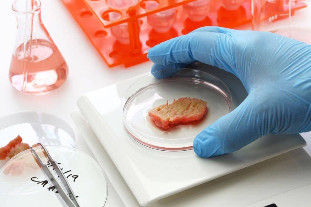 What is Cellular Agriculture in Telugu